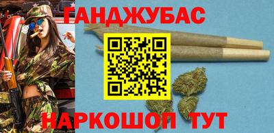 крисы Новозыбков