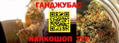 крисы Новозыбков