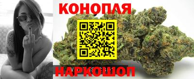 крисы Новозыбков